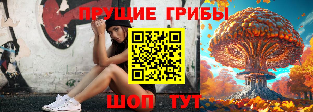 Галлюциногенные грибы Psilocybine cubensis  где купить наркотик  Иркутск  Вход с VPN 